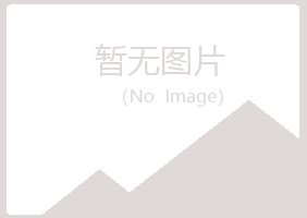 揭阳夏日化学有限公司